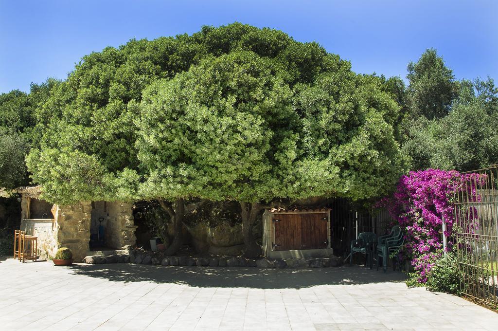 Agriturismo Il Paradiso Iglesias Exterior photo